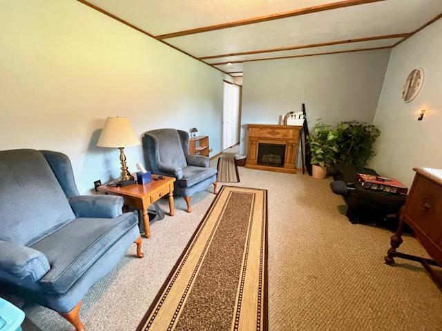 Rec room / back entry located in the lower level