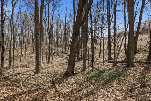 N7302 State Road 25, Menomonie, WI 54751
