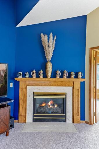 Gas burning fireplace in living room.