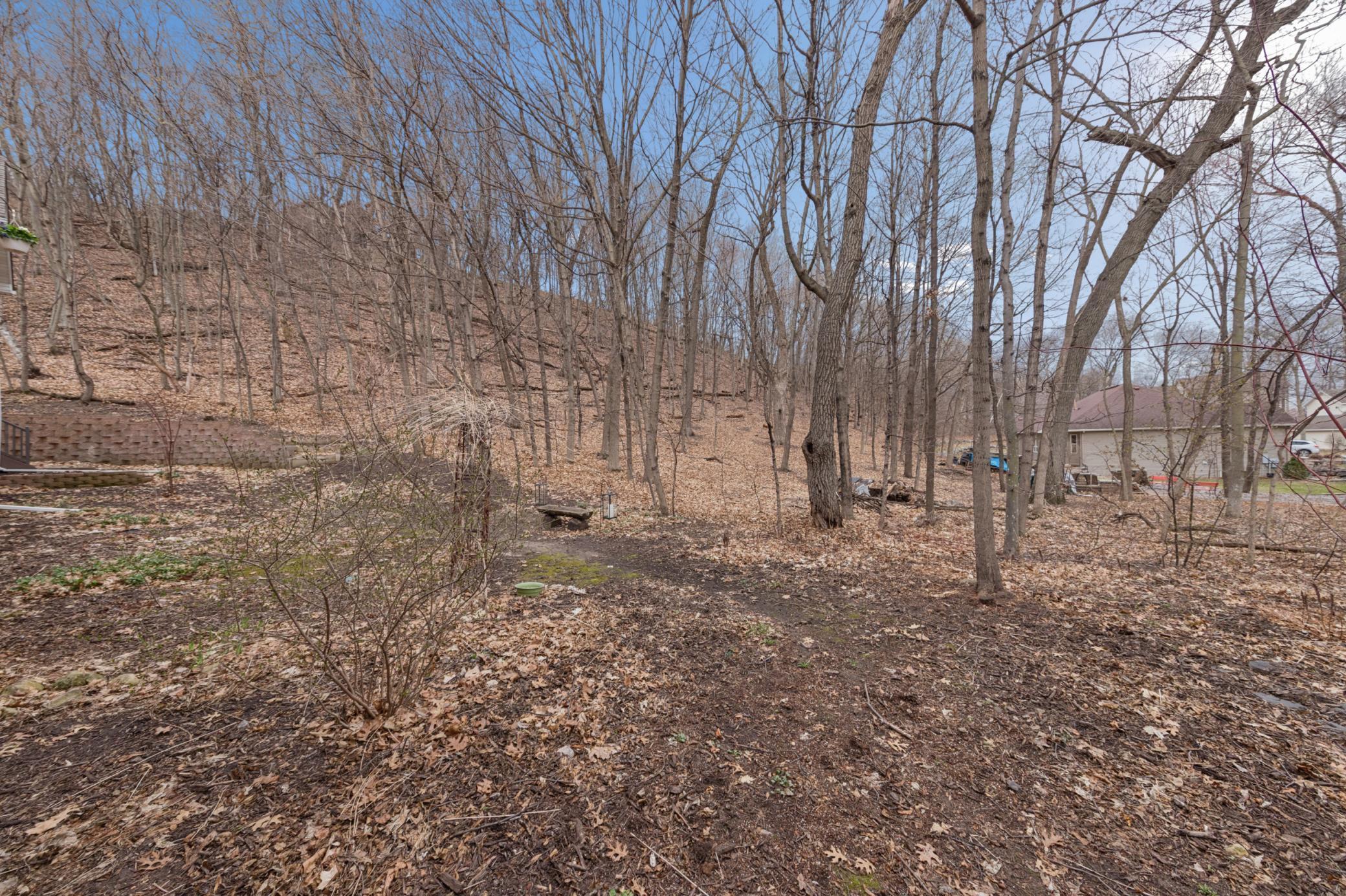 Large back lot with trees affords so much privacy