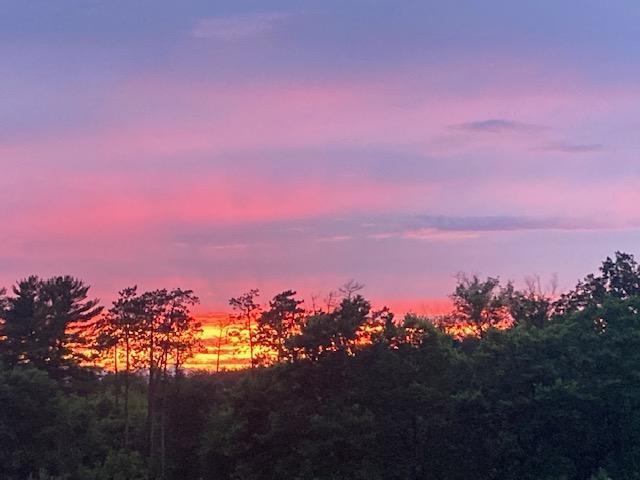 View from Deck 2.jpg