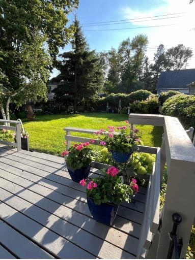 27 August 2025 pics-3.jpg