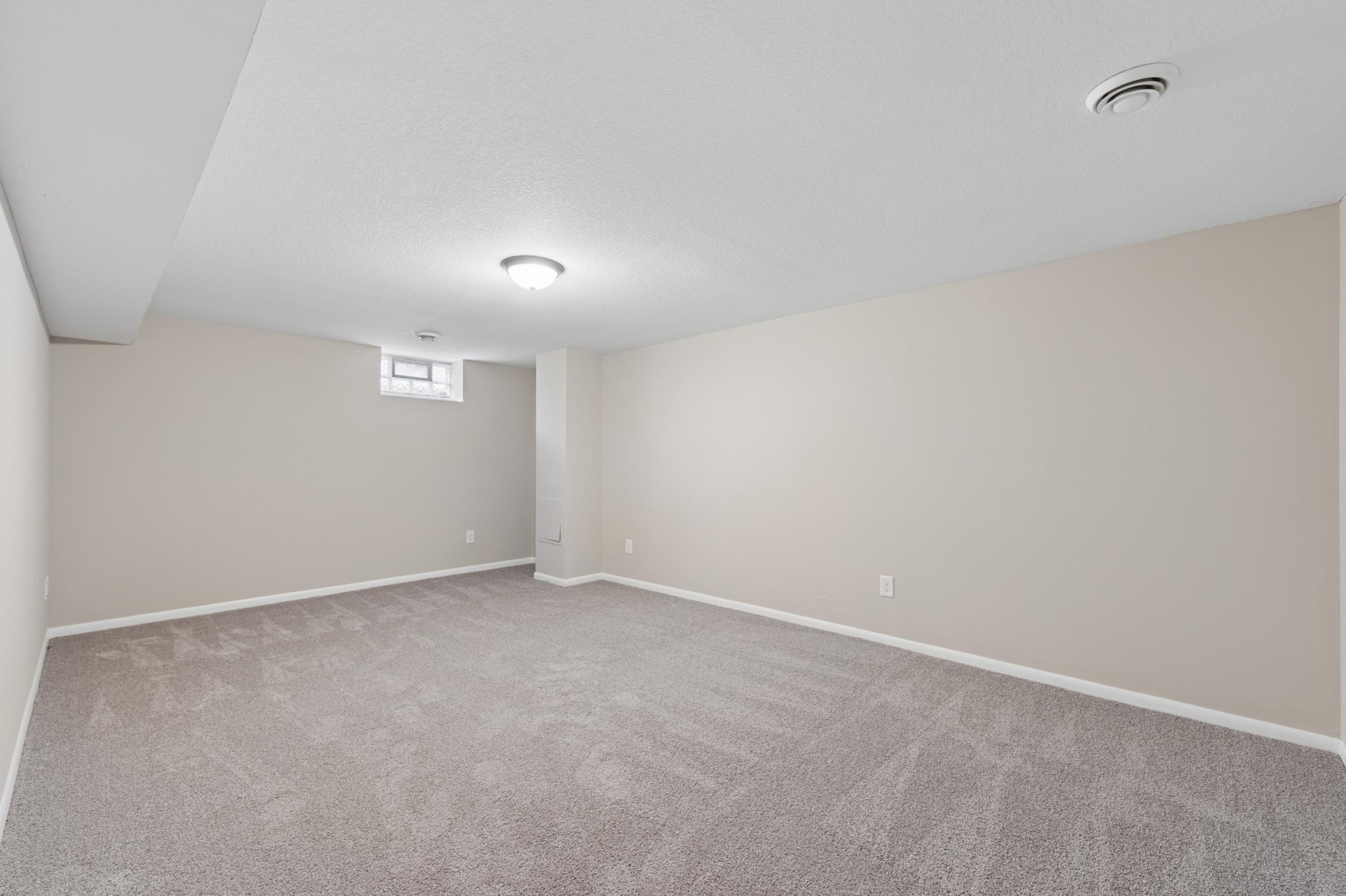 Spacious lower-level room with fresh carpet, neutral finishes, and ample storage options.