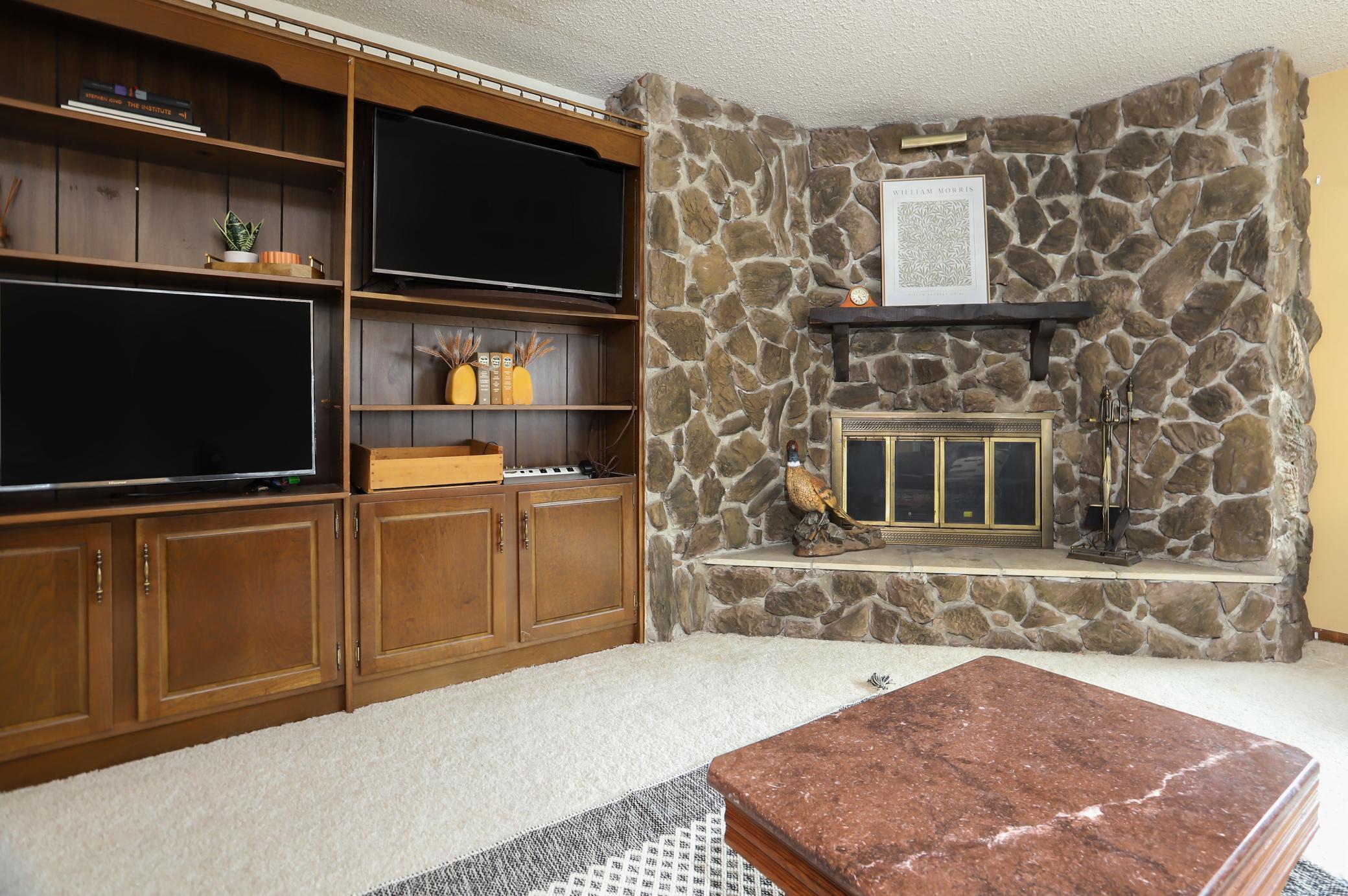 Lower level fireplace