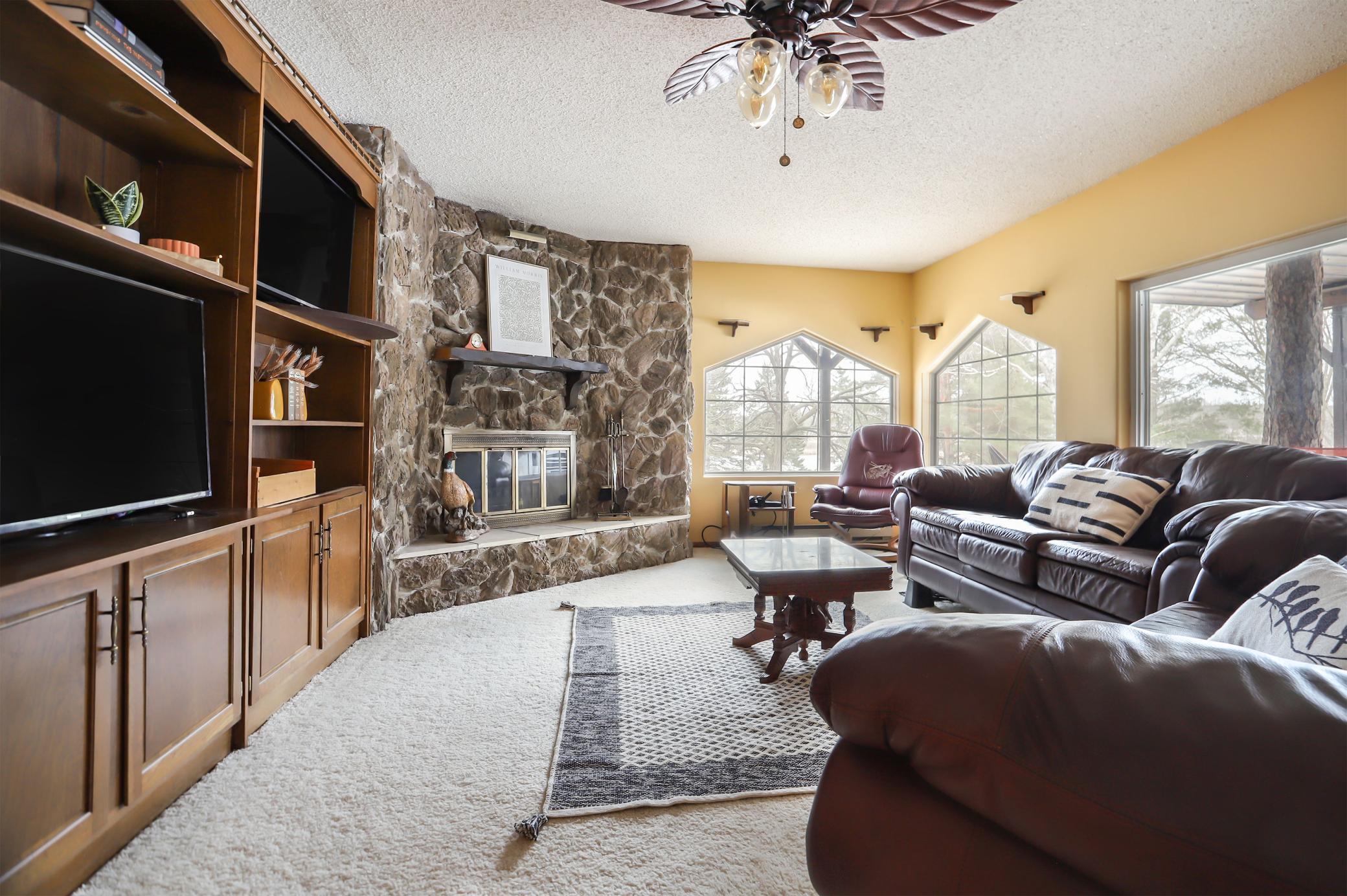 Lower Level Family room/fireplace