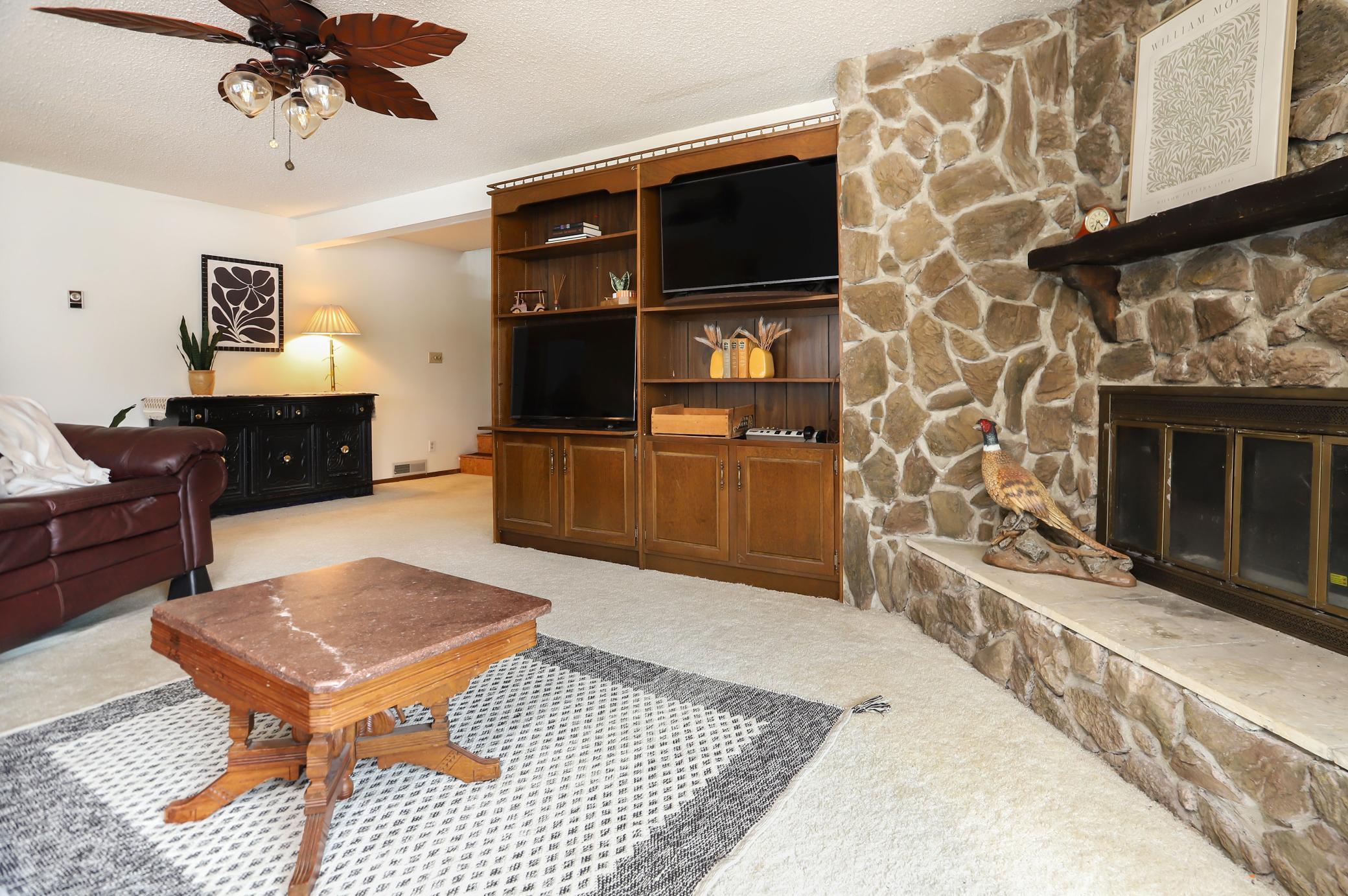 Lower Level Family Room/Fireplace