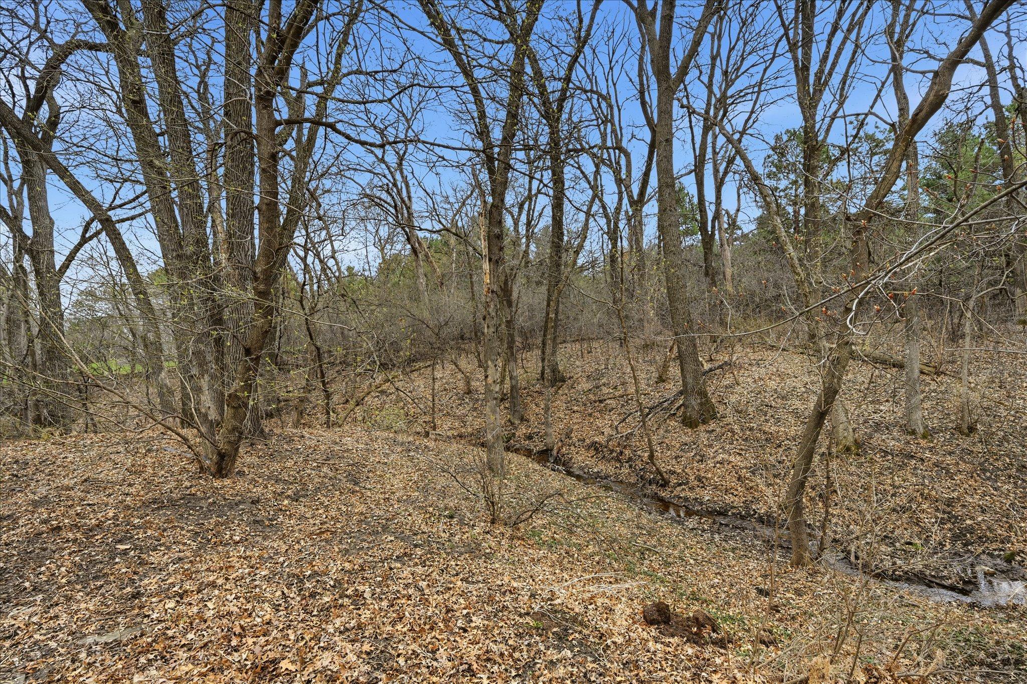 You can't beat this lot for privacy in your backyard.