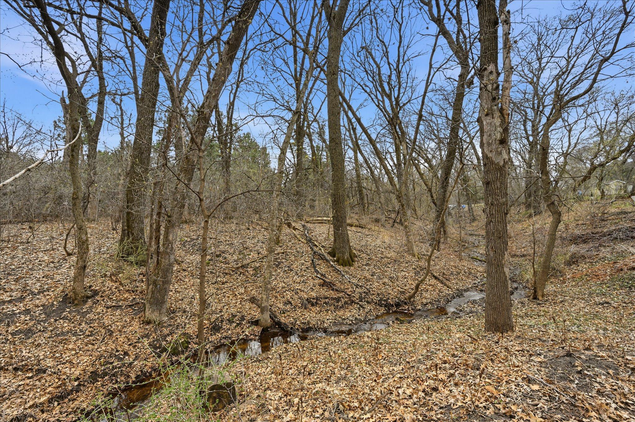 There is a Creek in the woods that runs through property.