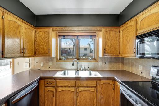 1208 Borealis Lane NE, Minneapolis, MN 55421