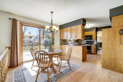 1208 Borealis Lane NE, Minneapolis, MN 55421