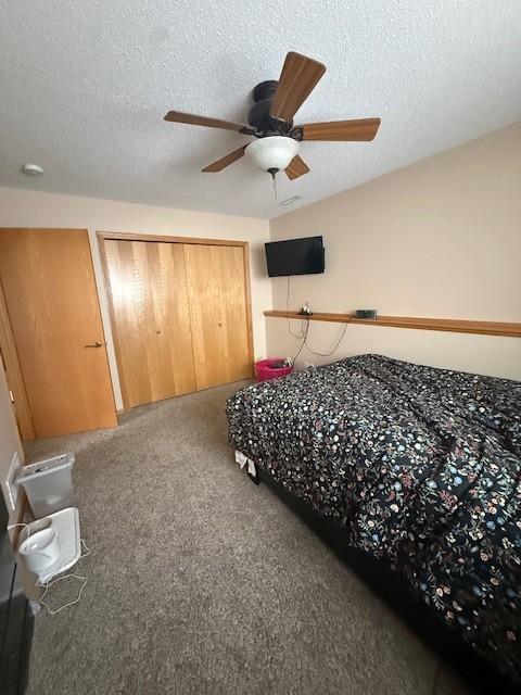 Unaltered "Before" Image