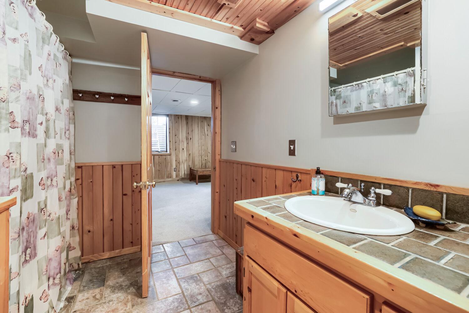 Lower level full bathroom