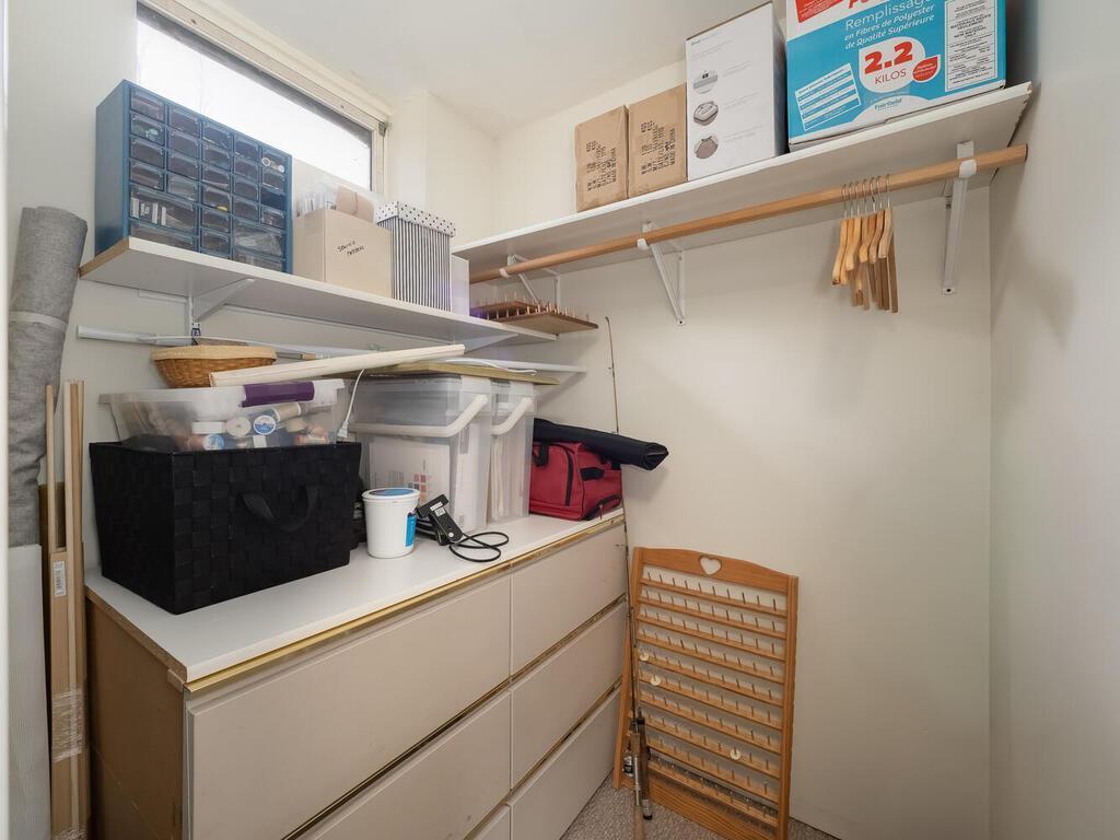 Lower level bedroom walk in closet