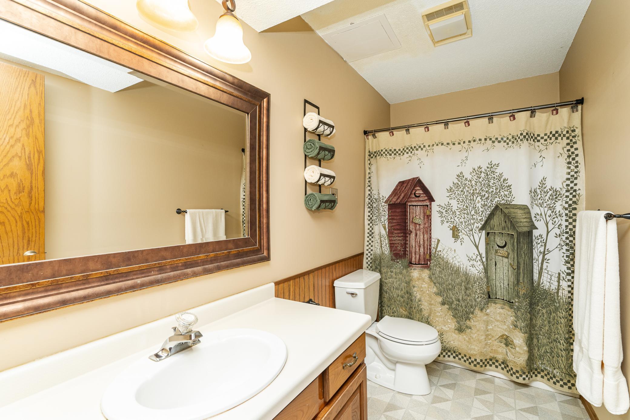 Lower level bathroom