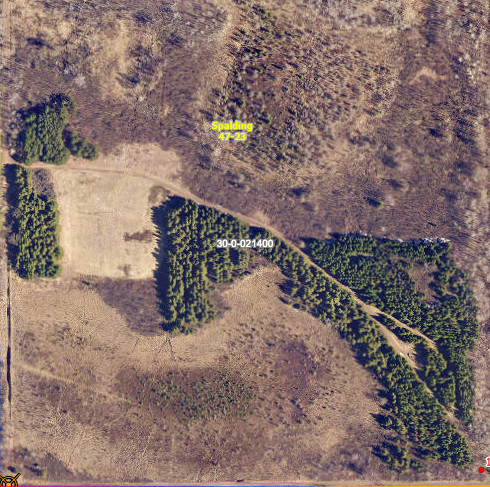Property terrain of wooded acres and minimum maintenance road through property