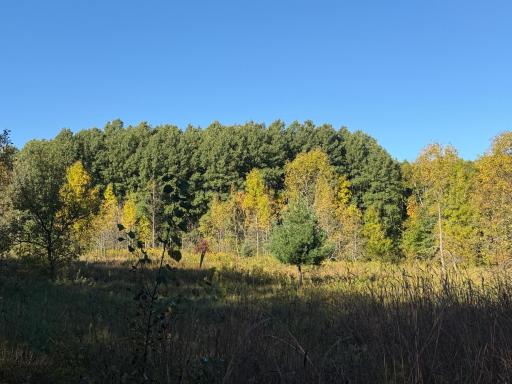 TBD Riverview Place, Merrifield, MN 56465