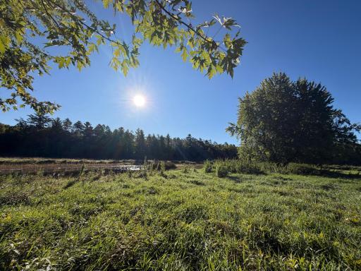 TBD Riverview Place, Merrifield, MN 56465