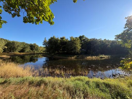 TBD Riverview Place, Merrifield, MN 56465