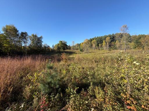 TBD Riverview Place, Merrifield, MN 56465