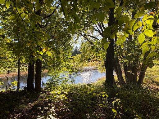 TBD Riverview Place, Merrifield, MN 56465