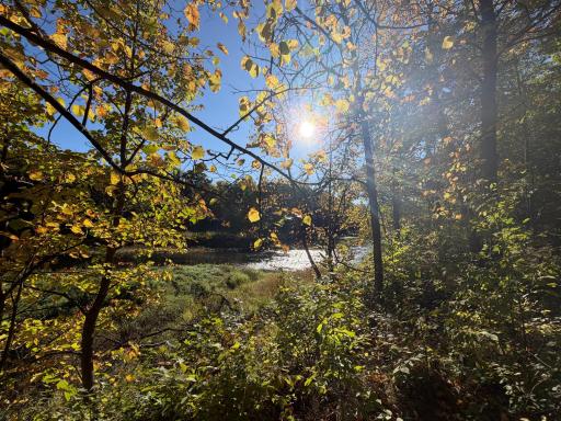 TBD Riverview Place, Merrifield, MN 56465