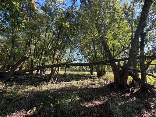 TBD Riverview Place, Merrifield, MN 56465