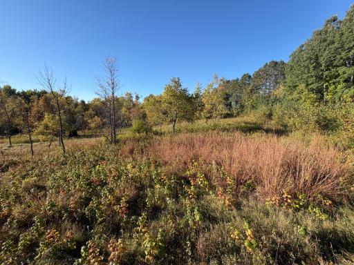 TBD Riverview Place, Merrifield, MN 56465