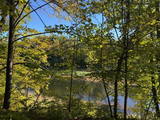 TBD Riverview Place, Merrifield, MN 56465