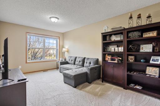 10910 Goodhue Street NE #B, Blaine, MN 55449-5091