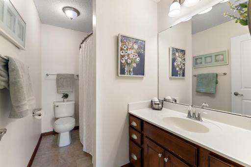6230 Homestead Avenue S, Cottage Grove, MN 55016