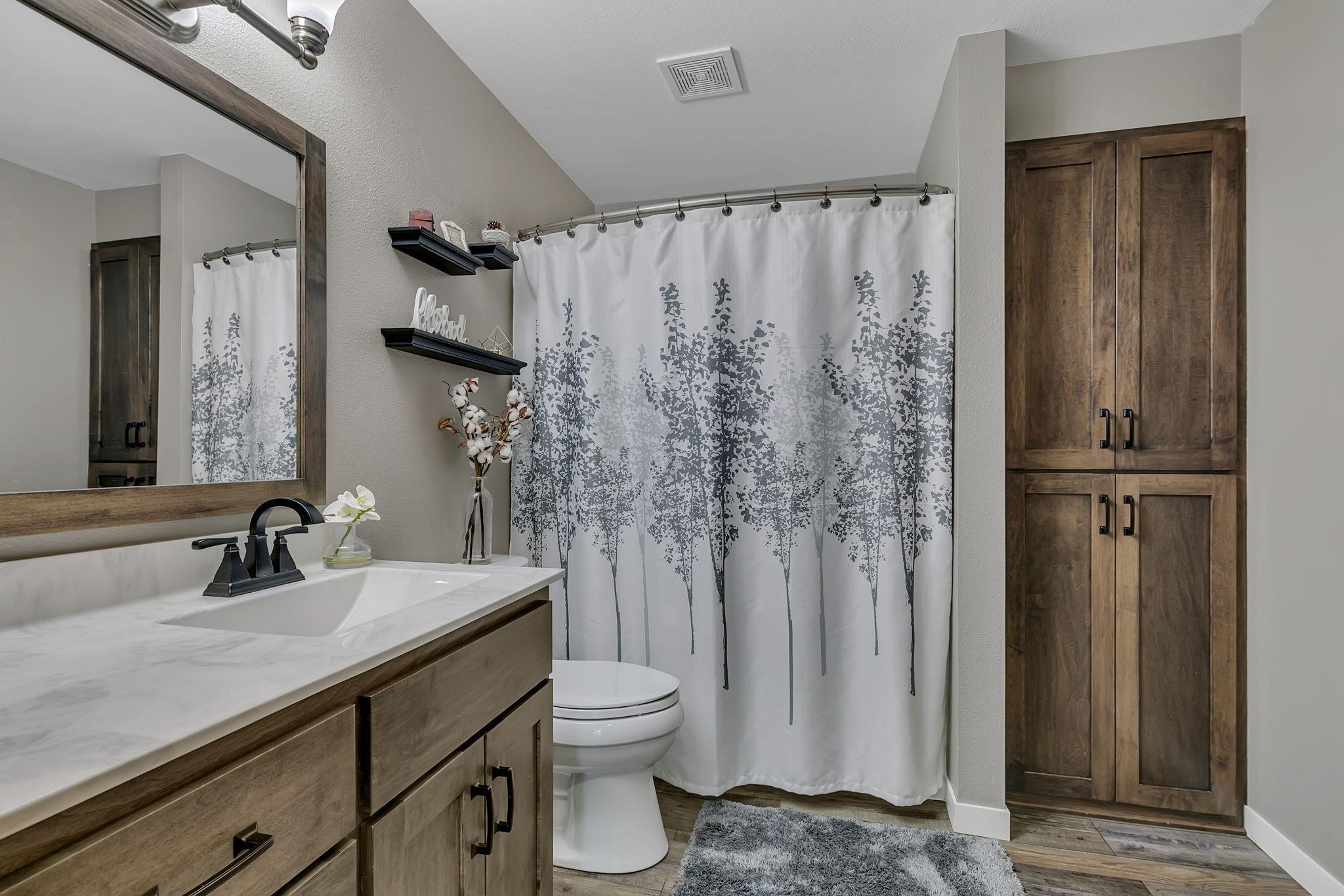 Update lower level bathroom