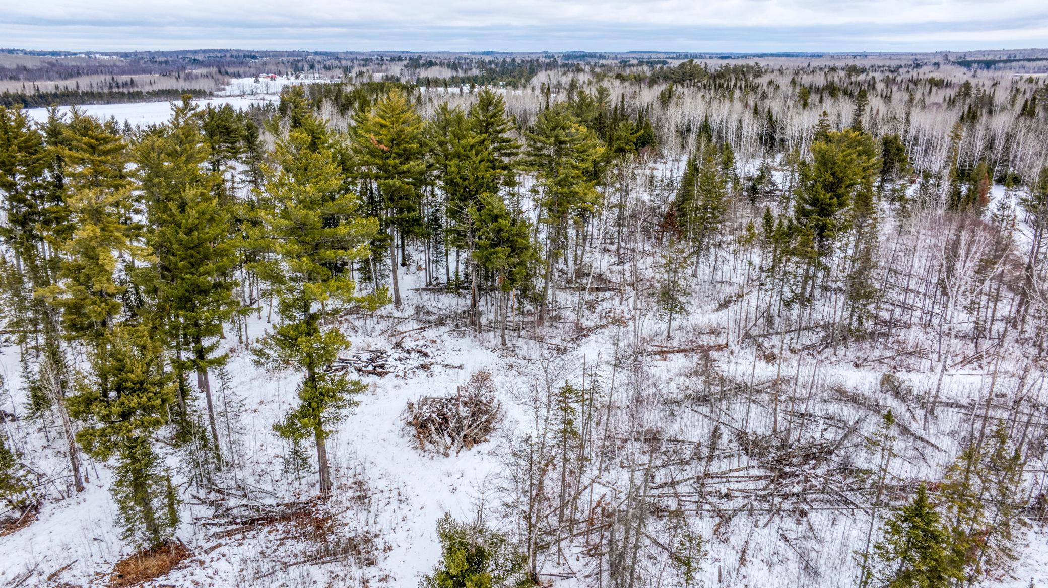 DJI_20260409143232_0307_D copy.jpg