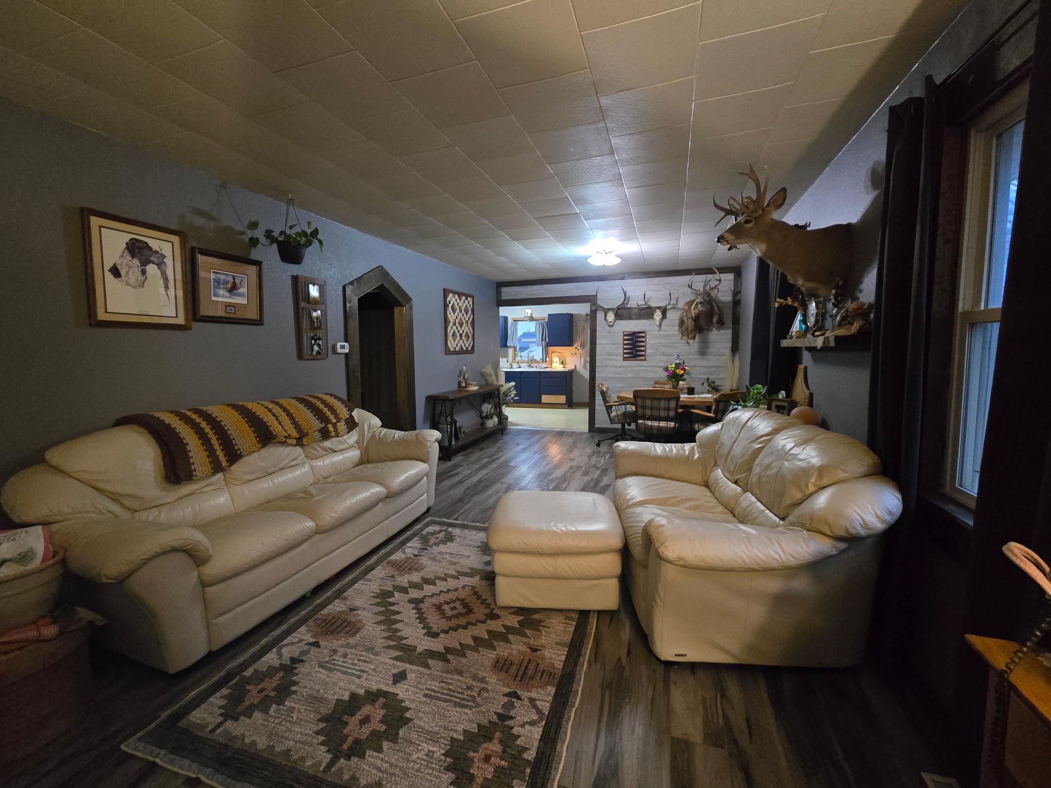 Living Room - Main Level