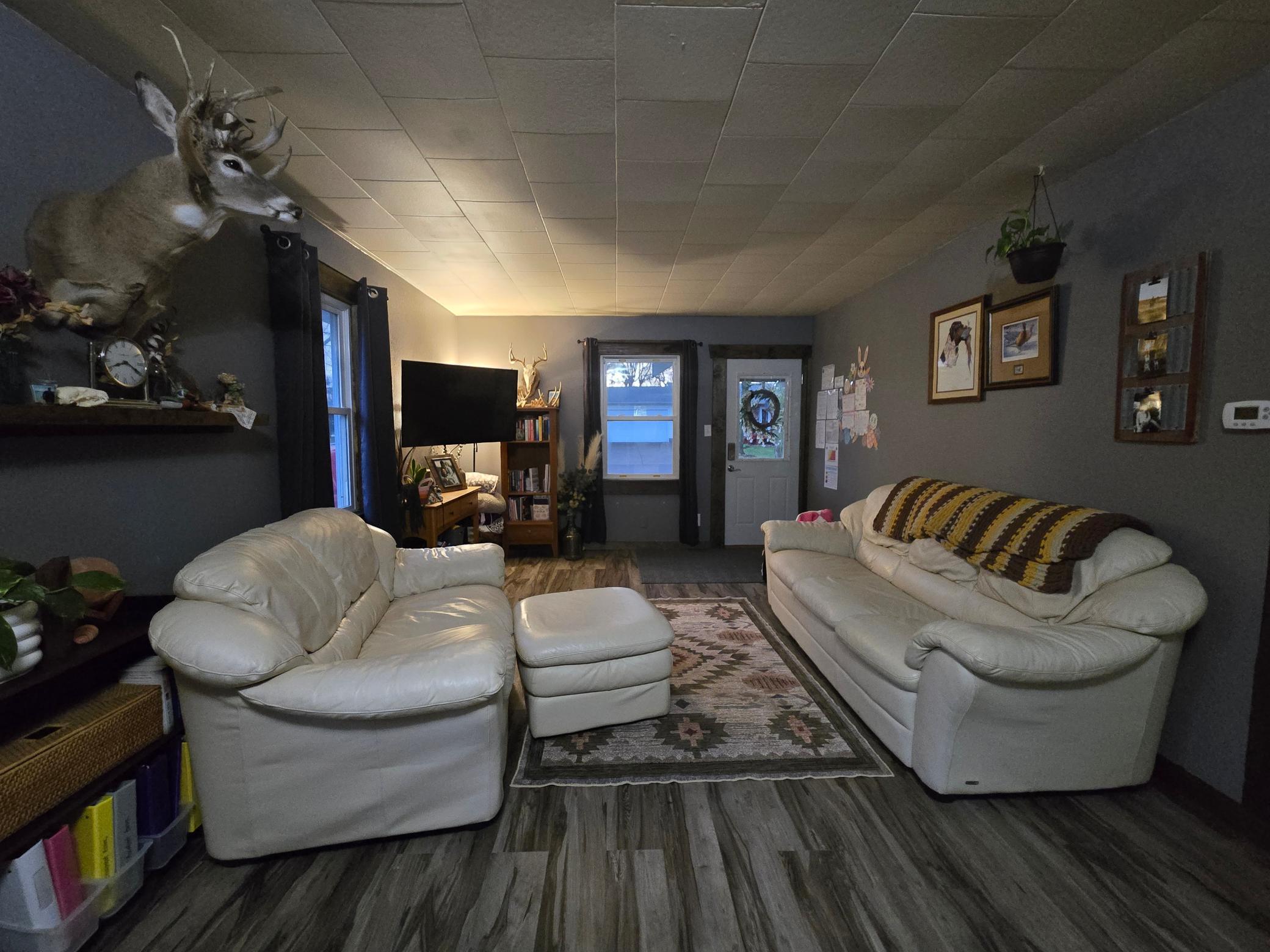 Living Room - Main Level