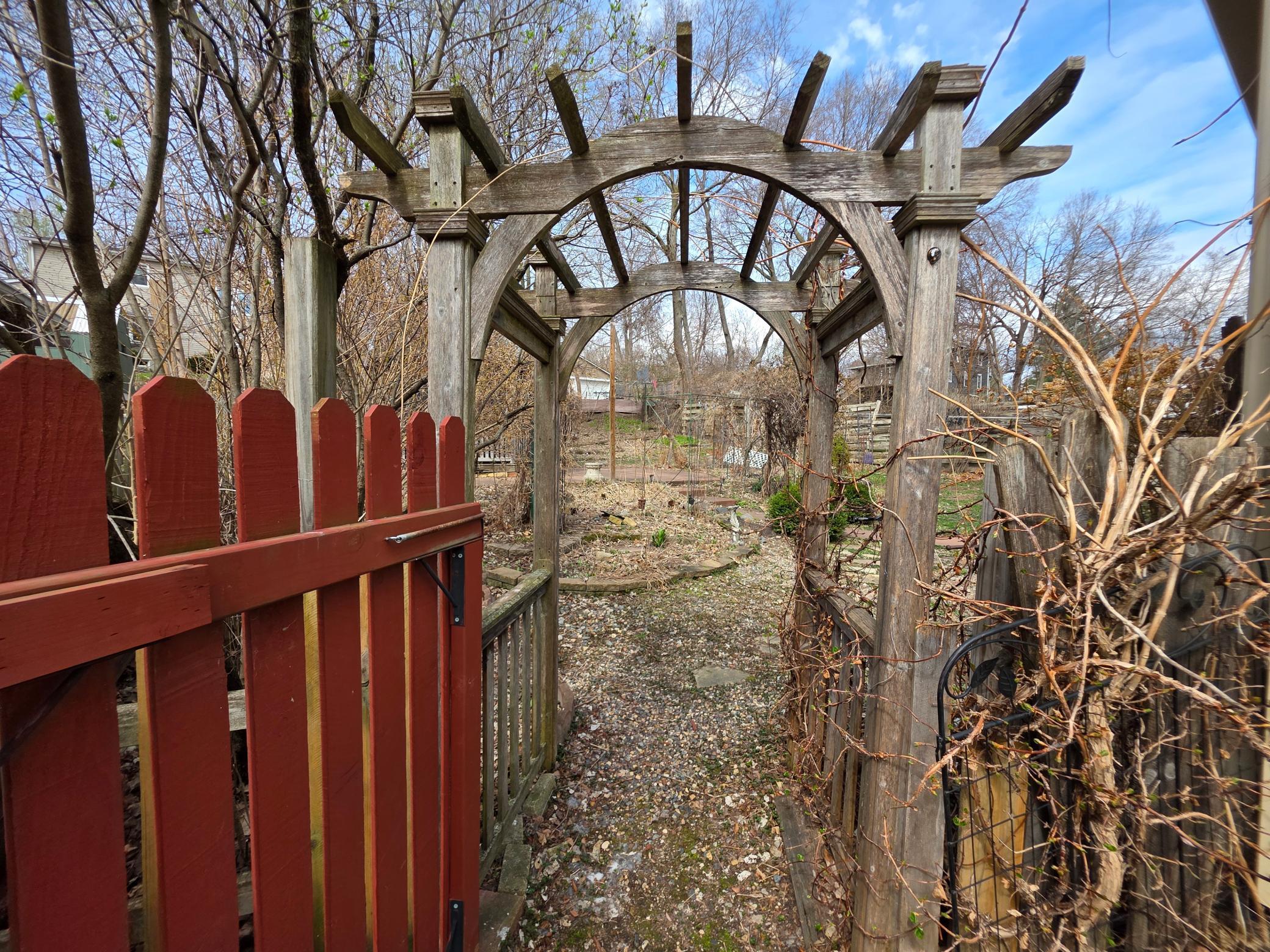 Sneak peek of the secret garden in the back yard