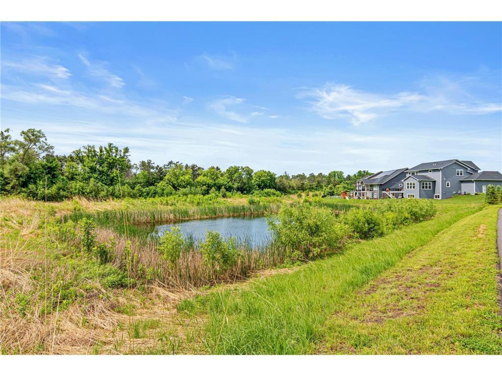 Beautiful views of green space.jpg