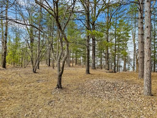 31489 Co Hwy 35, Ponsford, MN 56575