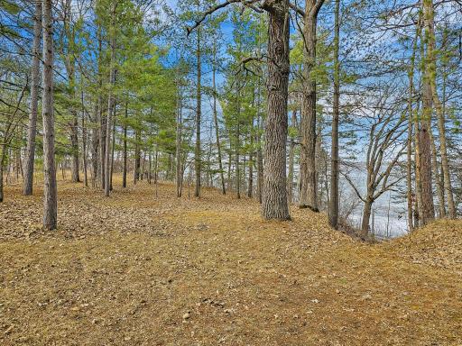 31489 Co Hwy 35, Ponsford, MN 56575
