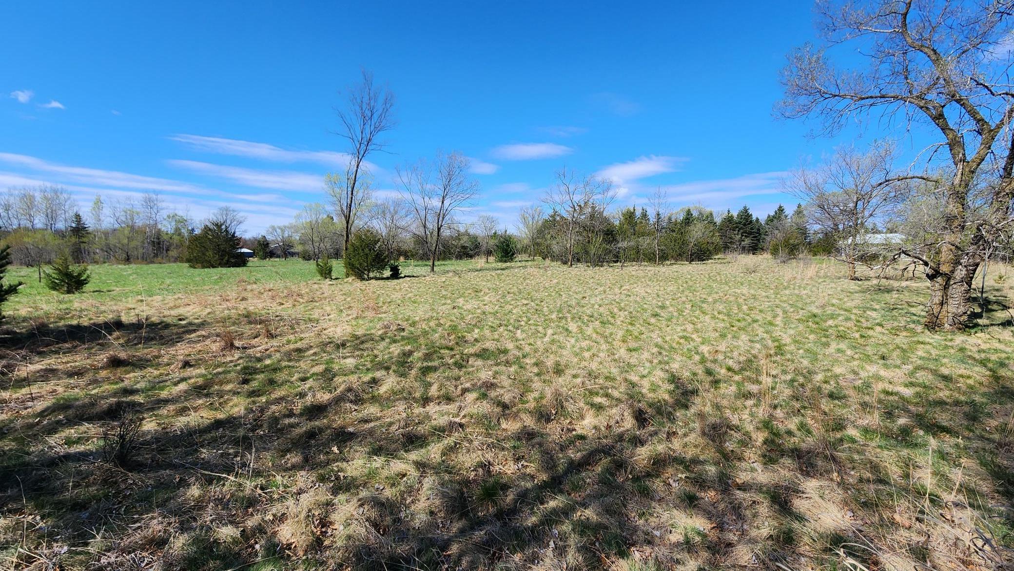 Nice and open with a good mix of trees, nature and open space.