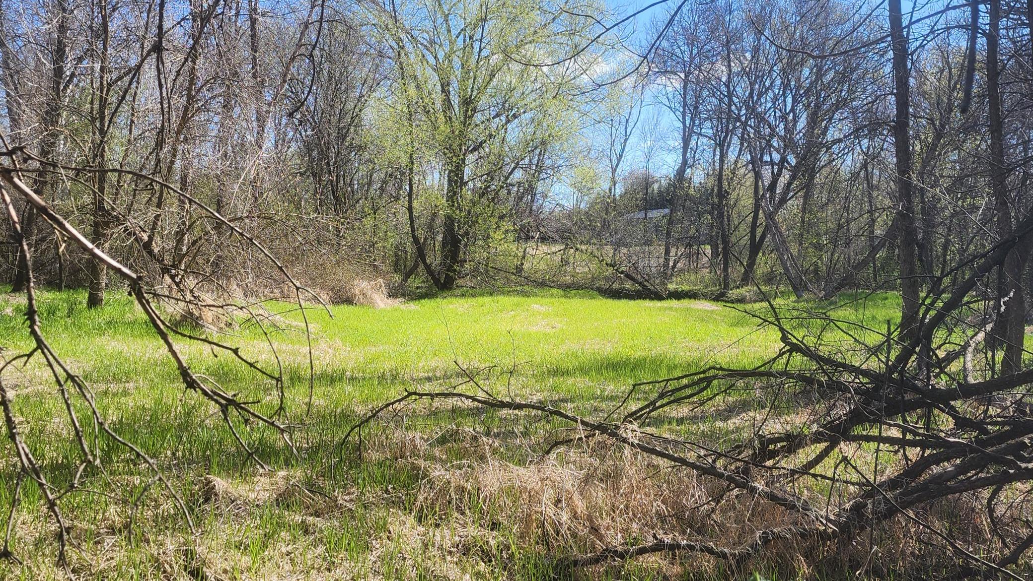 Creek bed of Tibbets Brook.