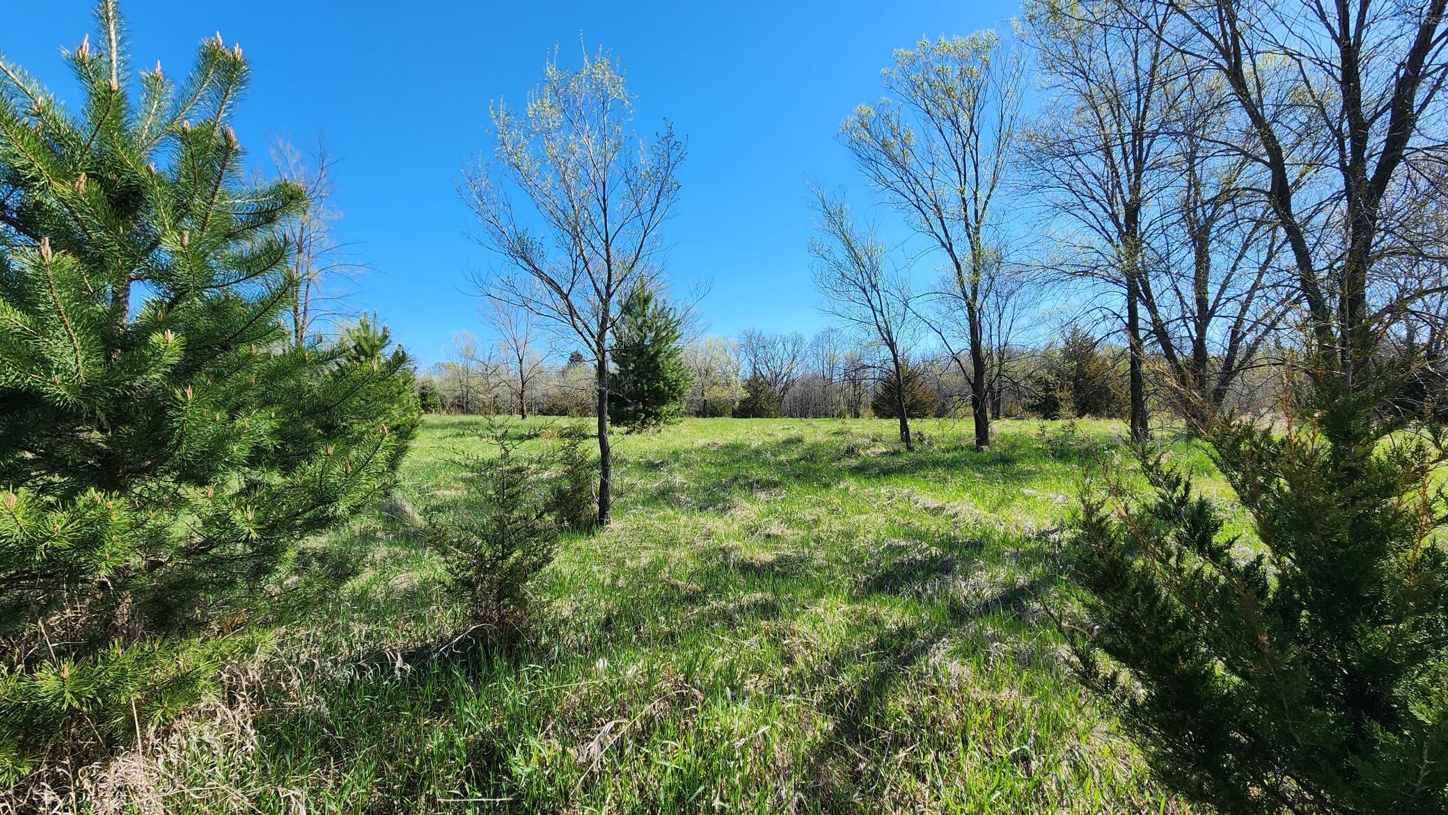 Plenty of flat open space giving this lot a prairie feel.