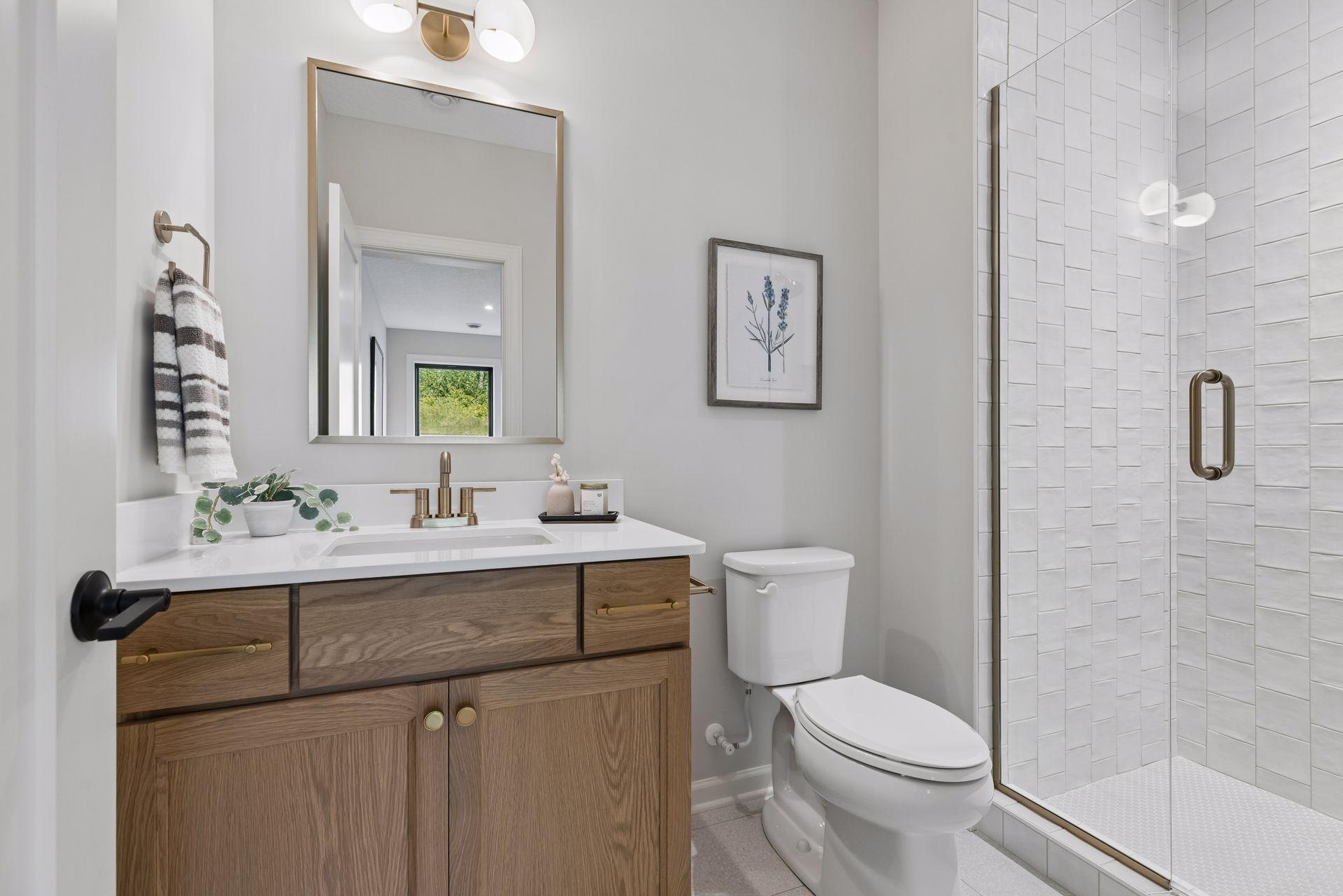Lower Level Bathroom