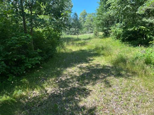 25963 Elk Haven Drive, Nevis, MN 56467