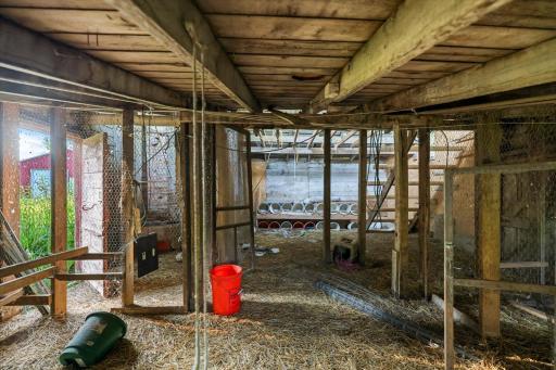 Chicken Coop