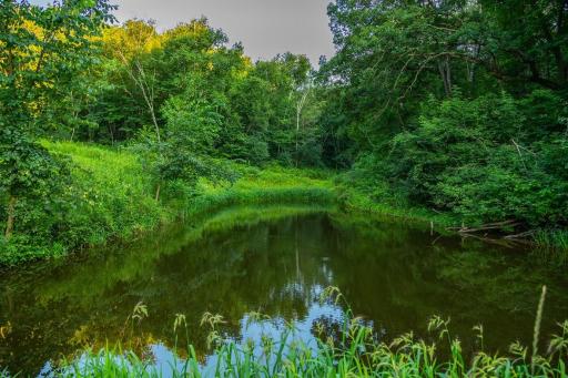 0 Co Rd S, Blair, WI 54616