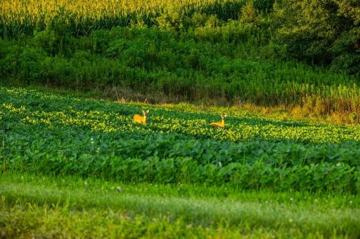 0 Co Rd S, Blair, WI 54616
