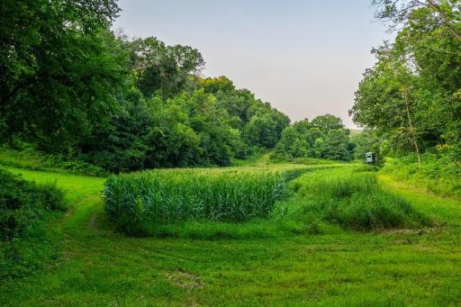 0 Co Rd S, Blair, WI 54616