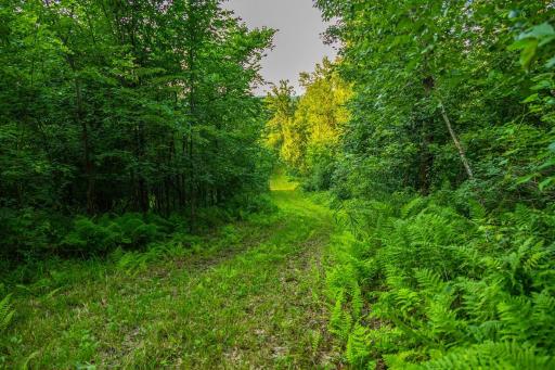 0 Co Rd S, Blair, WI 54616
