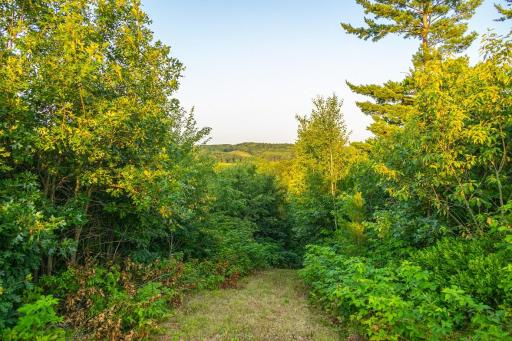 0 Co Rd S, Blair, WI 54616