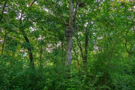 0 Co Rd S, Blair, WI 54616